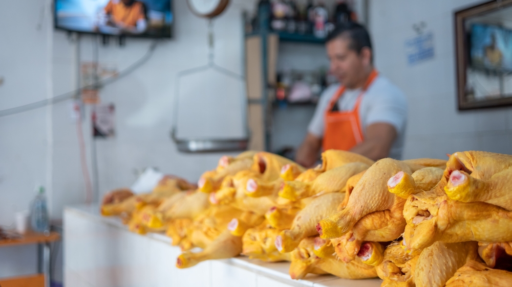 negocio venta de pollo