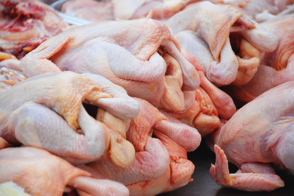 pollo entero crudo